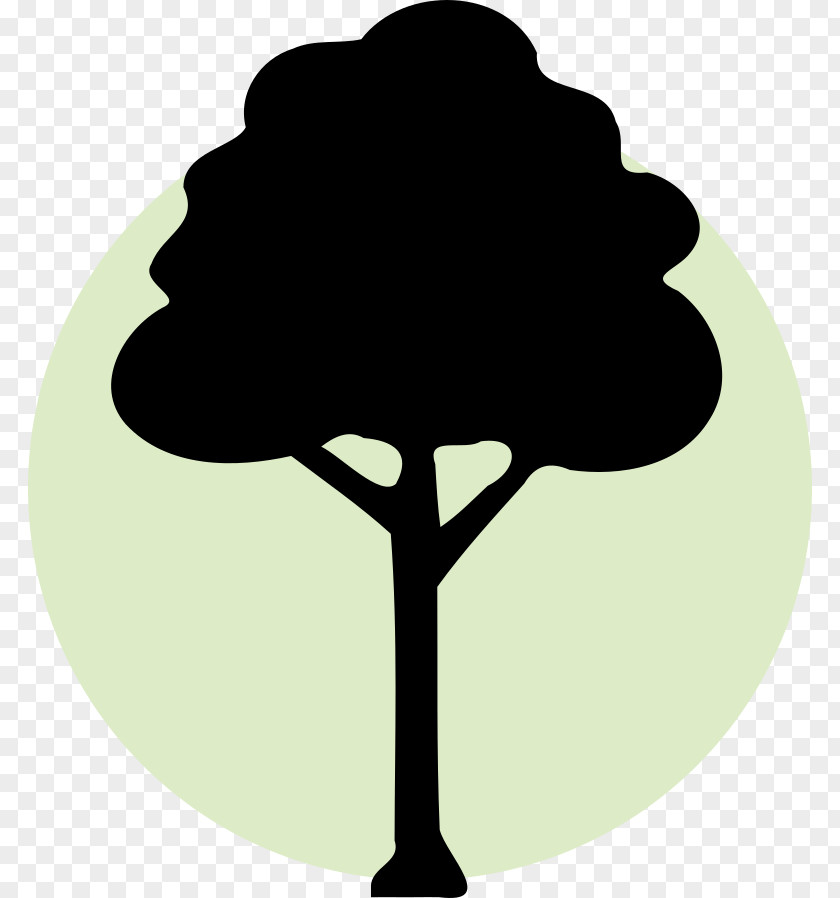 Tree Clip Art PNG