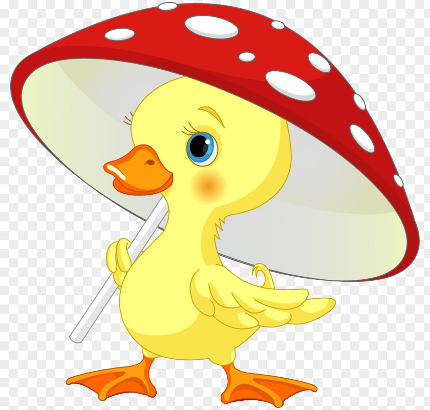 Bird Duck Clip Art PNG