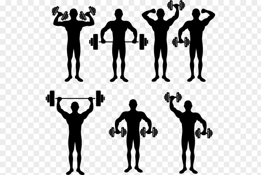 Exercise Male Silhouette Material Physical Fitness Stretching PNG