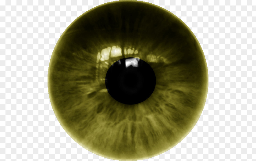 Eye Iris Contact Lenses PNG