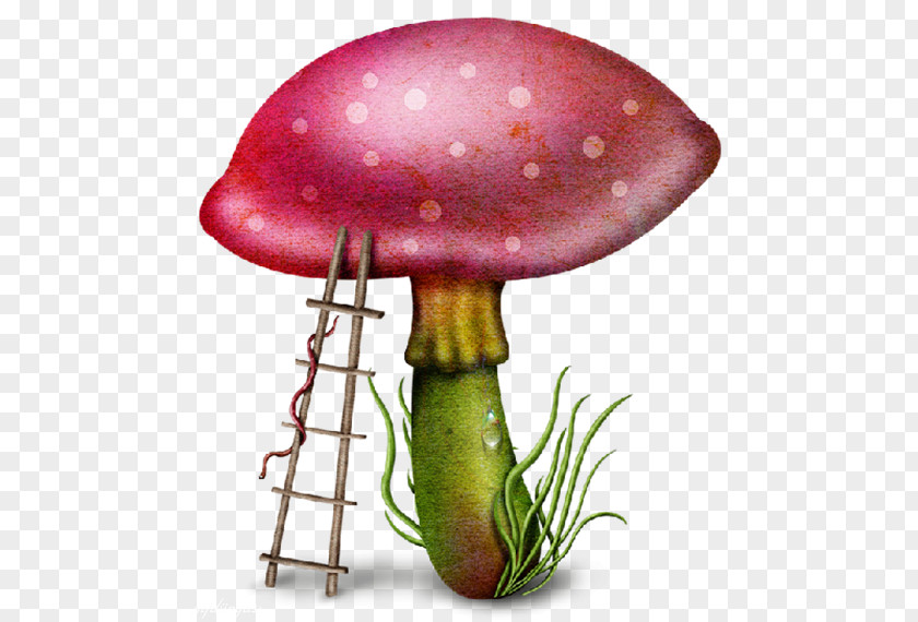 Mushroom Download Clip Art PNG