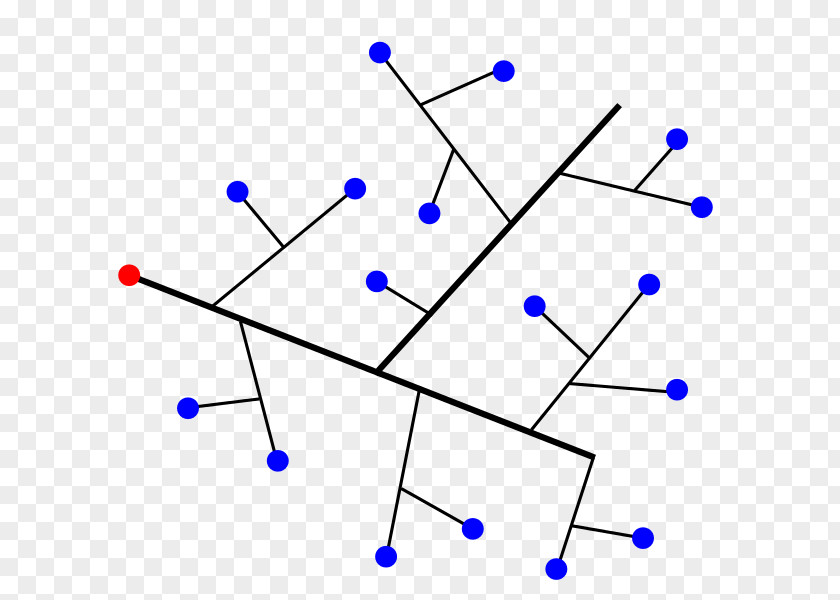 Tree Structure Computer Network Netwerk Topology PNG