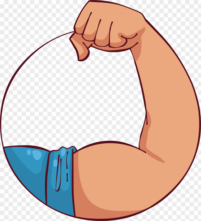 Arm Clip Art Biceps Muscle PNG