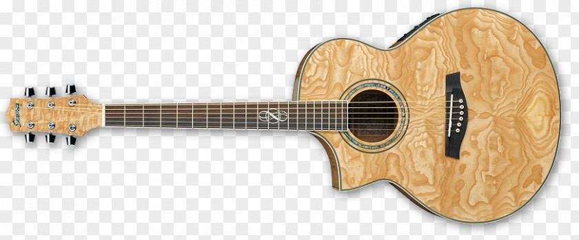 Beautiful Acoustic Guitars Ibanez Exotic Wood Series AEW40 Guitar Electric PNG
