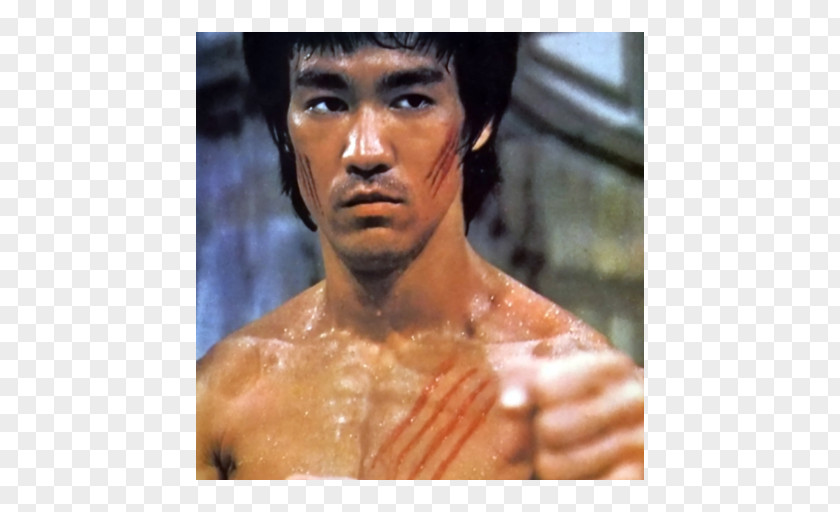 Bruce Lee Martial Arts Jeet Kune Do Actor Boxing PNG