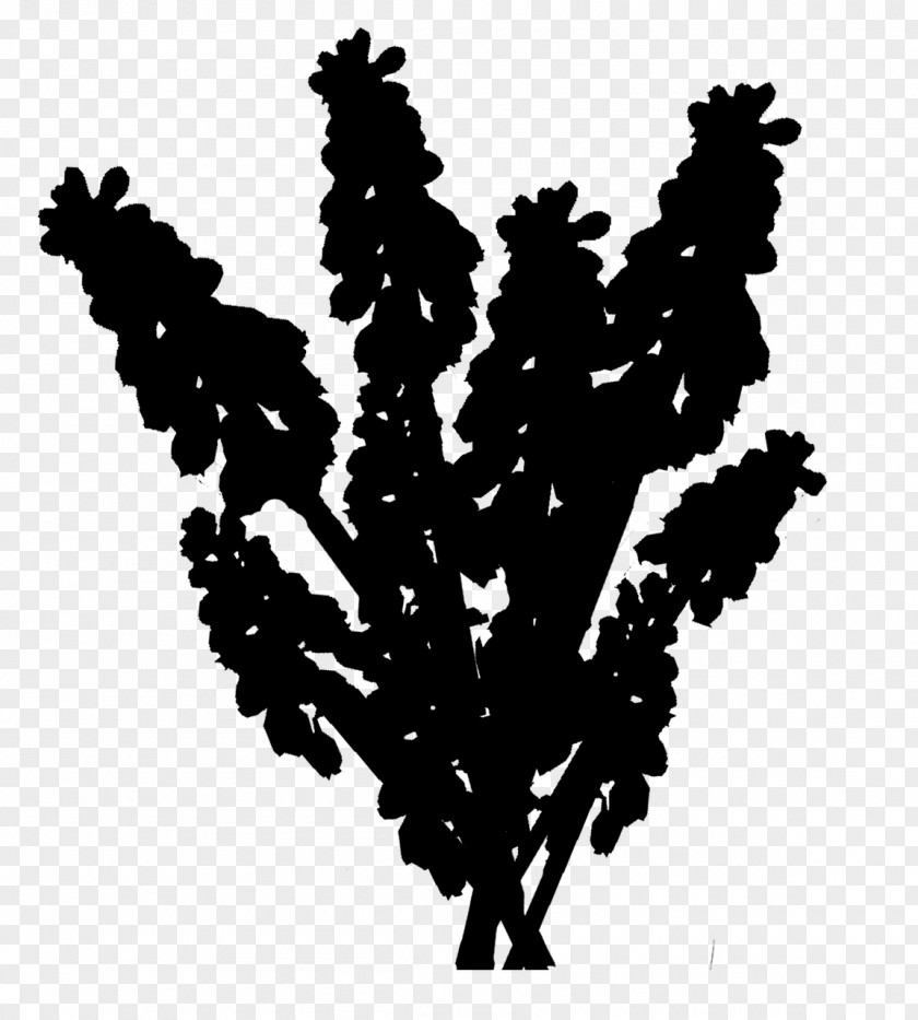 Leaf Font Silhouette Tree Flowering Plant PNG