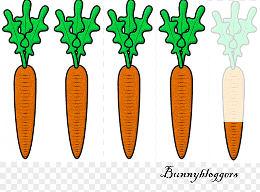 Pictures Of Dill Pickles Pickled Cucumber Carrot Cake Cartoon Clip Art PNG