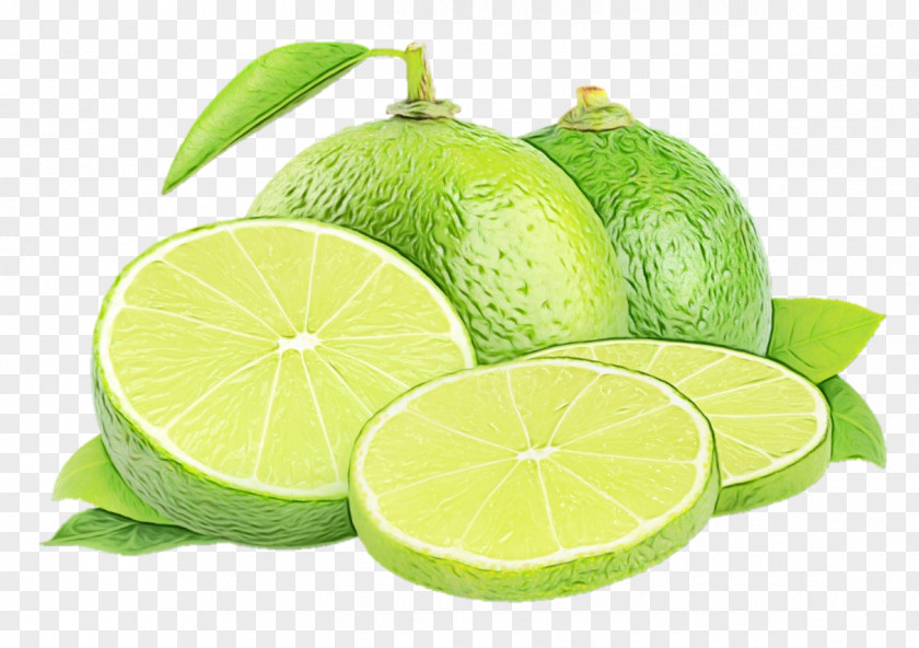 Sweet Lemon Plant Persian Lime Key Citrus PNG