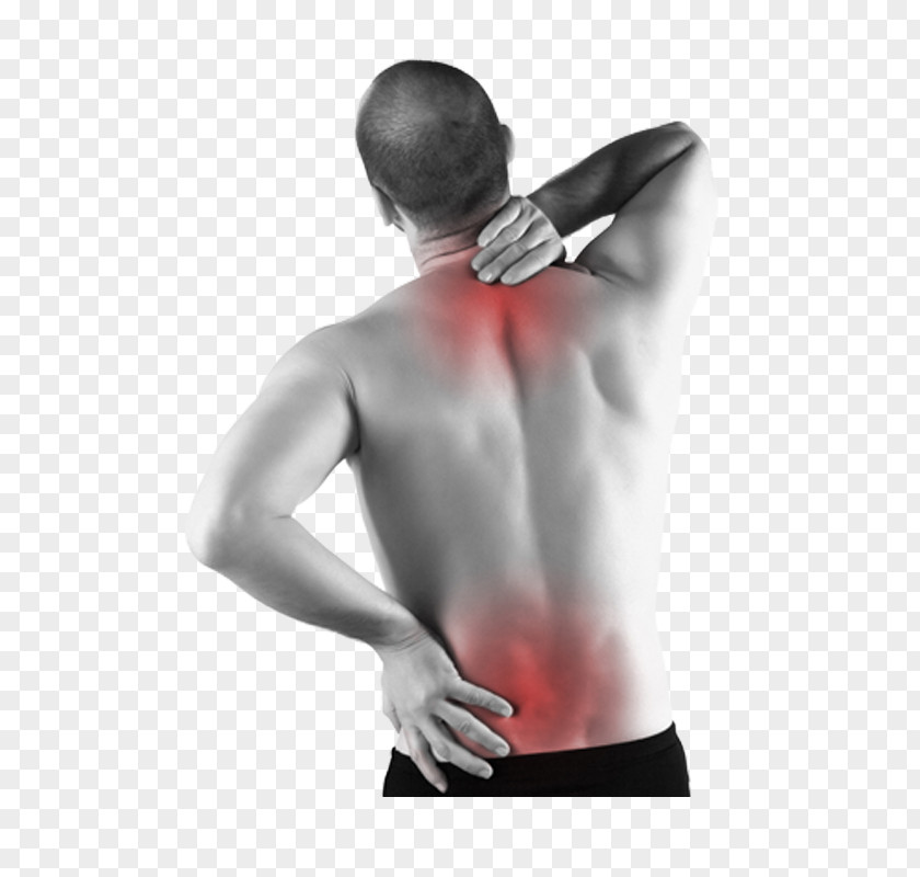 Back Pain Neck Therapy Management Chiropractic PNG