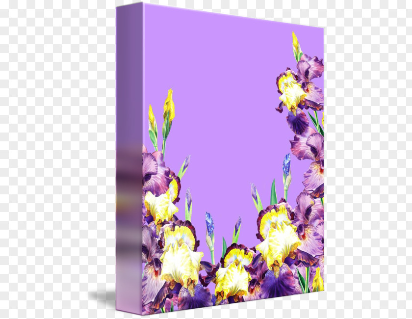Purple Sky Lavender Canvas Gallery Wrap Picture Frames Violet PNG