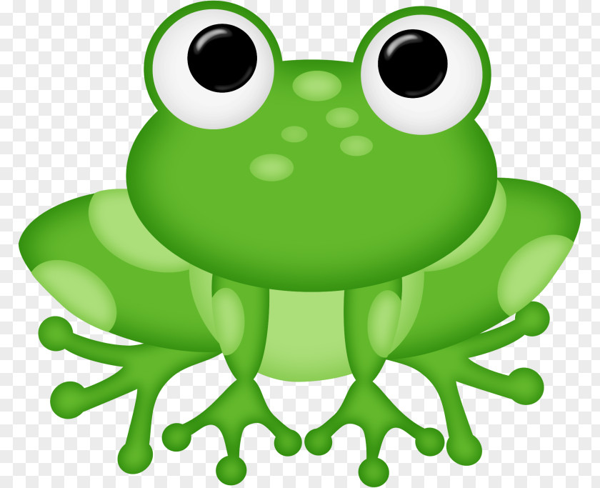 Frog Amphibian Clip Art PNG