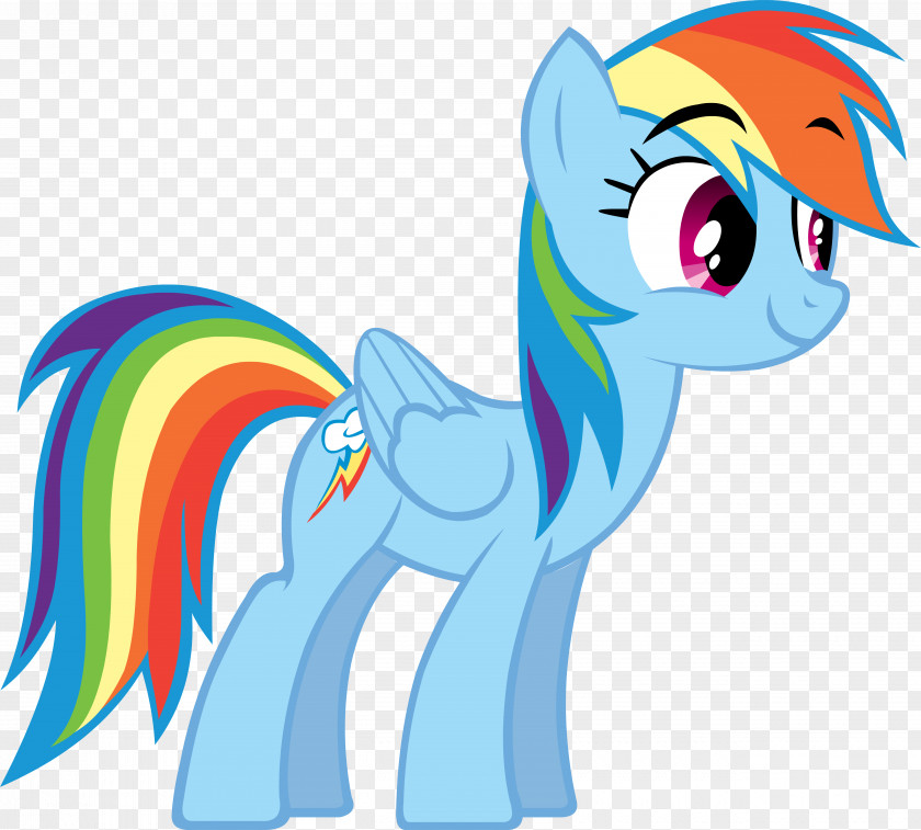 Rainbow Dash Rarity Twilight Sparkle Pinkie Pie Applejack PNG