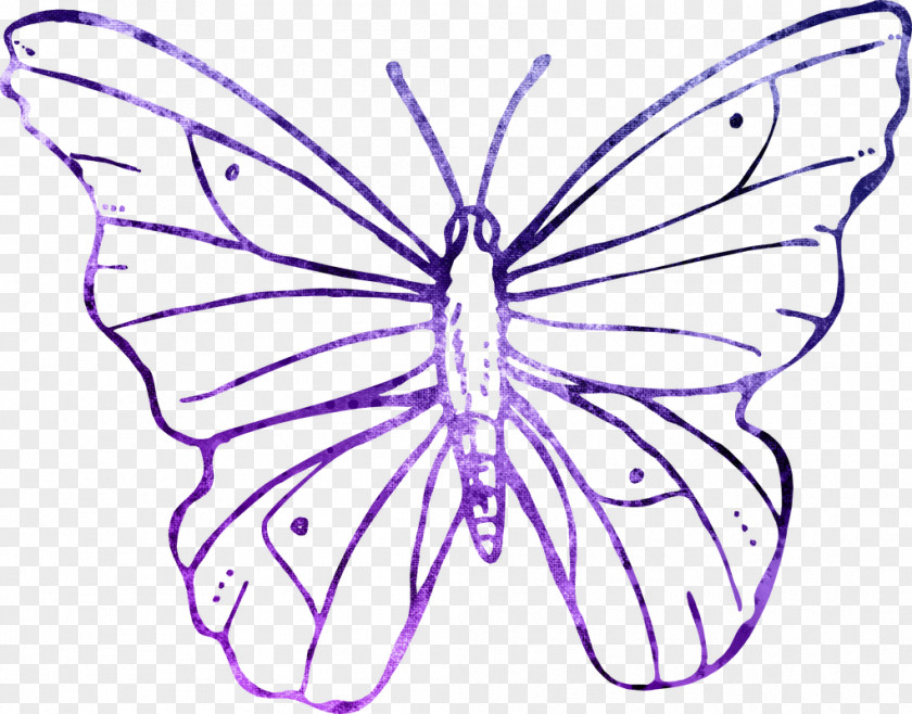 Watercolor Butterfly Clip Art PNG