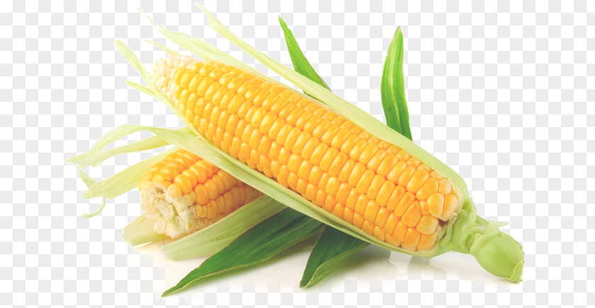 Yellow Corn Maize Sweet On The Cob Vegetable Starch PNG