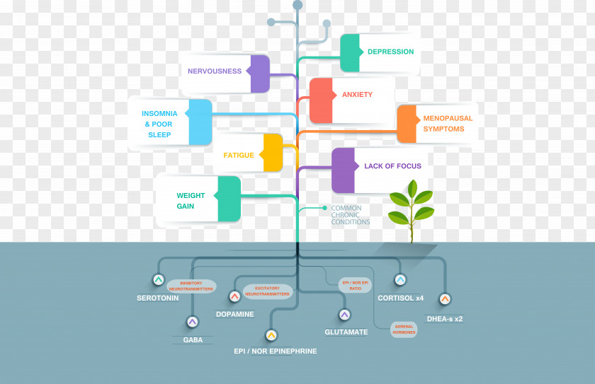 Business Infographic Timeline Diagram Graphic Design Template PNG