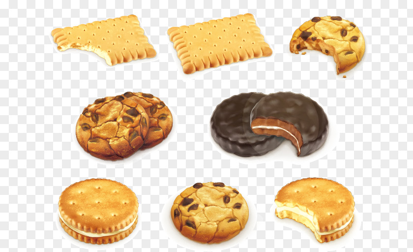 Cookies Vector Chocolate Chip Cookie Biscuit Royalty-free PNG
