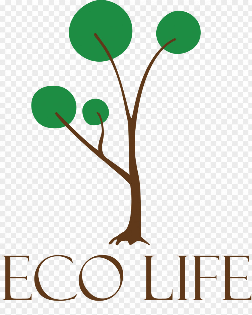 Eco Life Tree PNG