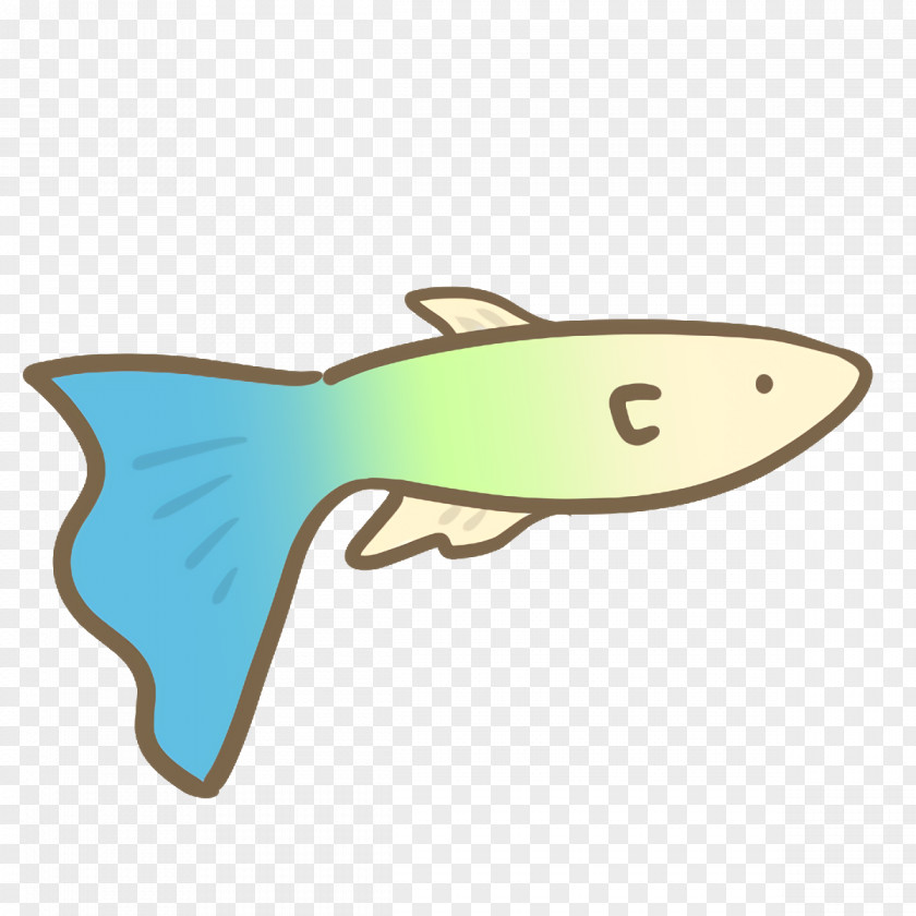 Fish Science Biology PNG