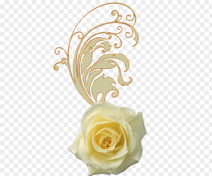 Flower Garden Roses Petal PNG