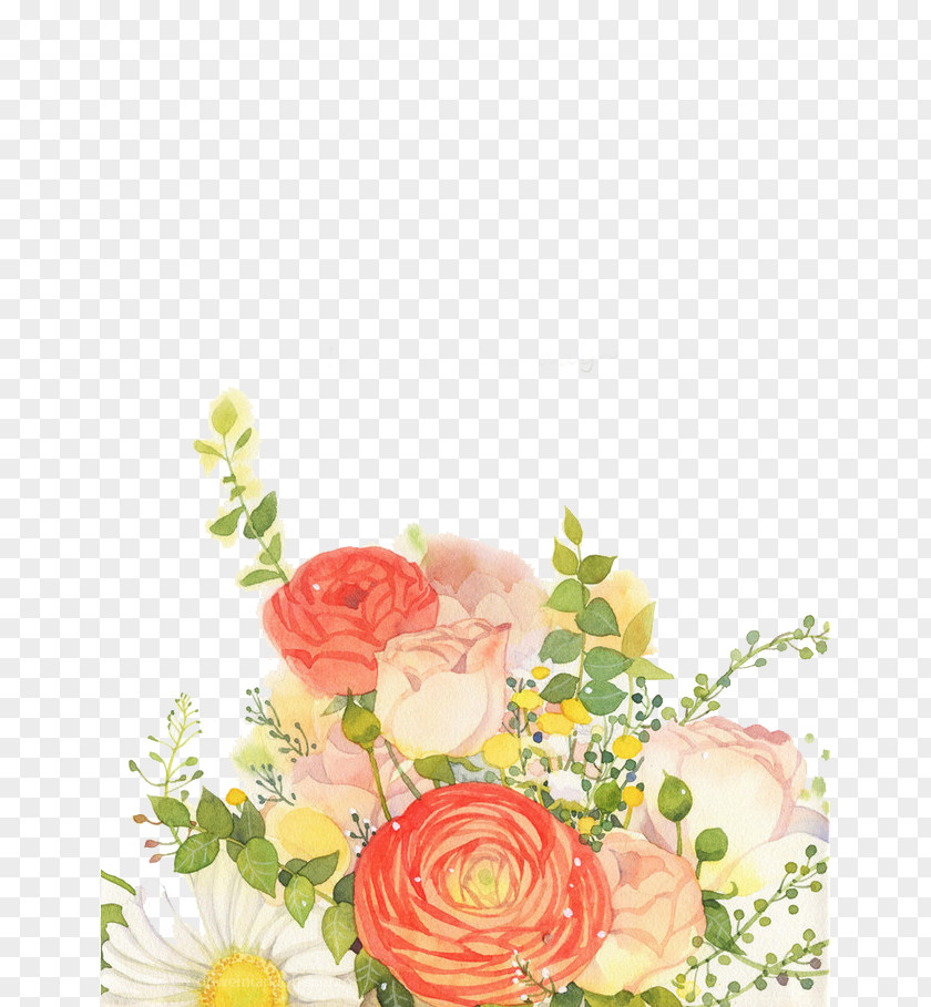 Hand-painted Rose Garden Roses Rosa Chinensis Illustration PNG