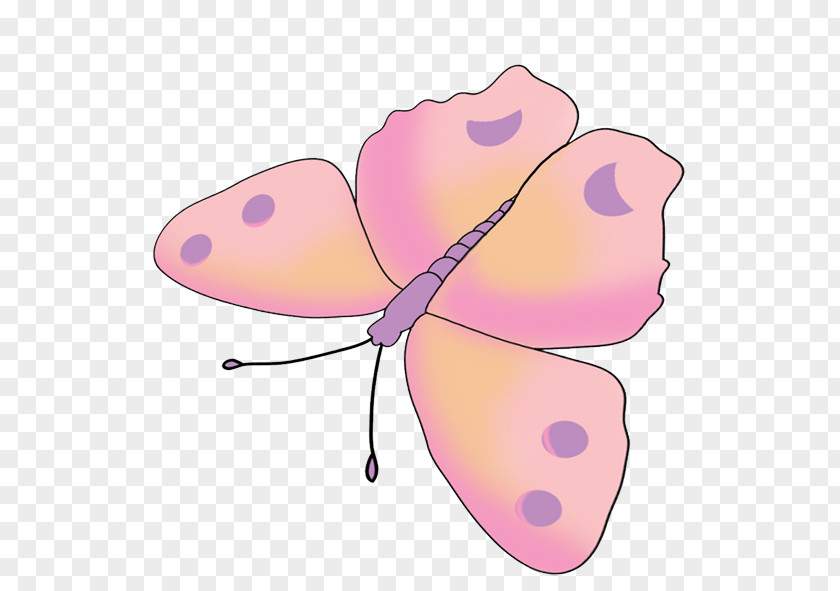Pink Butterfly Insect Drawing Clip Art PNG