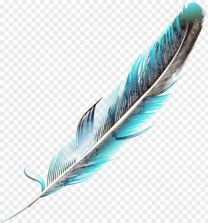 Wing Writing Implement Cartoon PNG