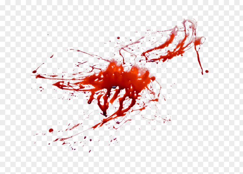 Blood Image Clip Art PNG