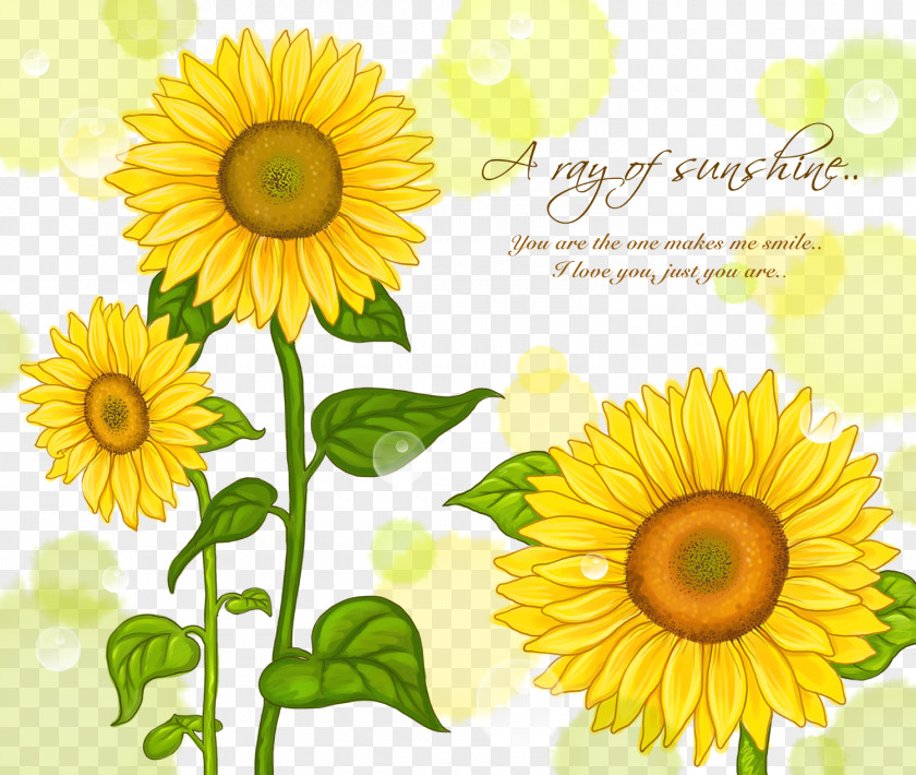Card Background Material Sunflower Common Watercolor Painting Illustration PNG
