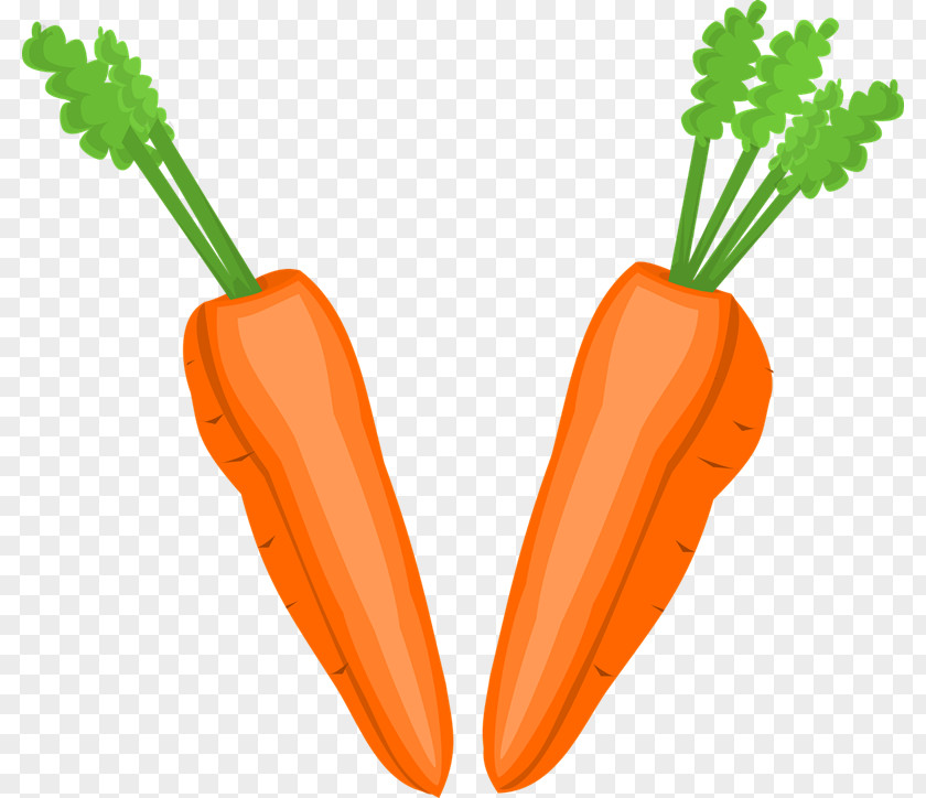 Carrot Root Cliparts Vegetable Fruit Food Clip Art PNG