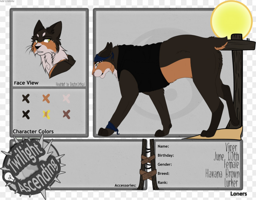 Cat Dog Horse Cartoon PNG