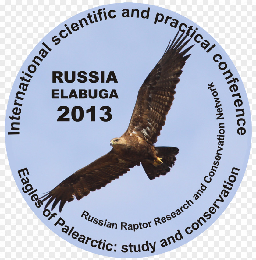 Eagle Golden Palearctic Realm Falconry Altai Krai PNG