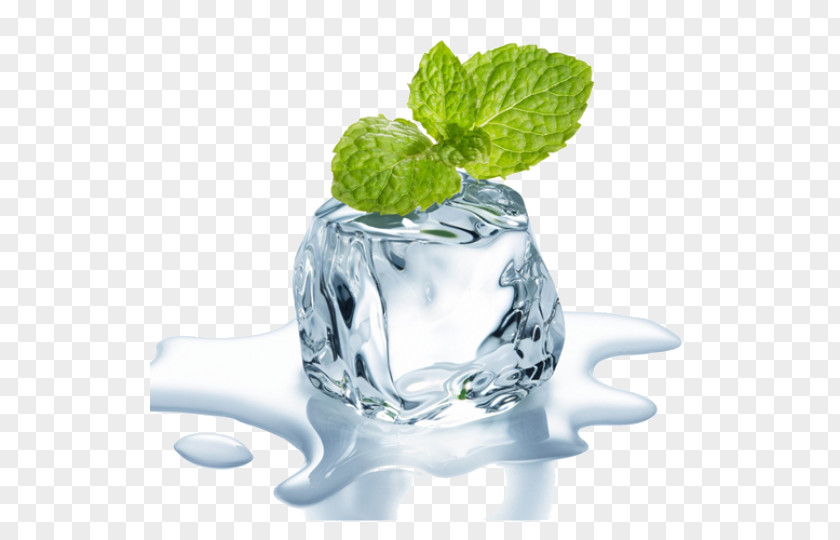 Iced Tea Mint Electronic Cigarette Aerosol And Liquid Flavor PNG