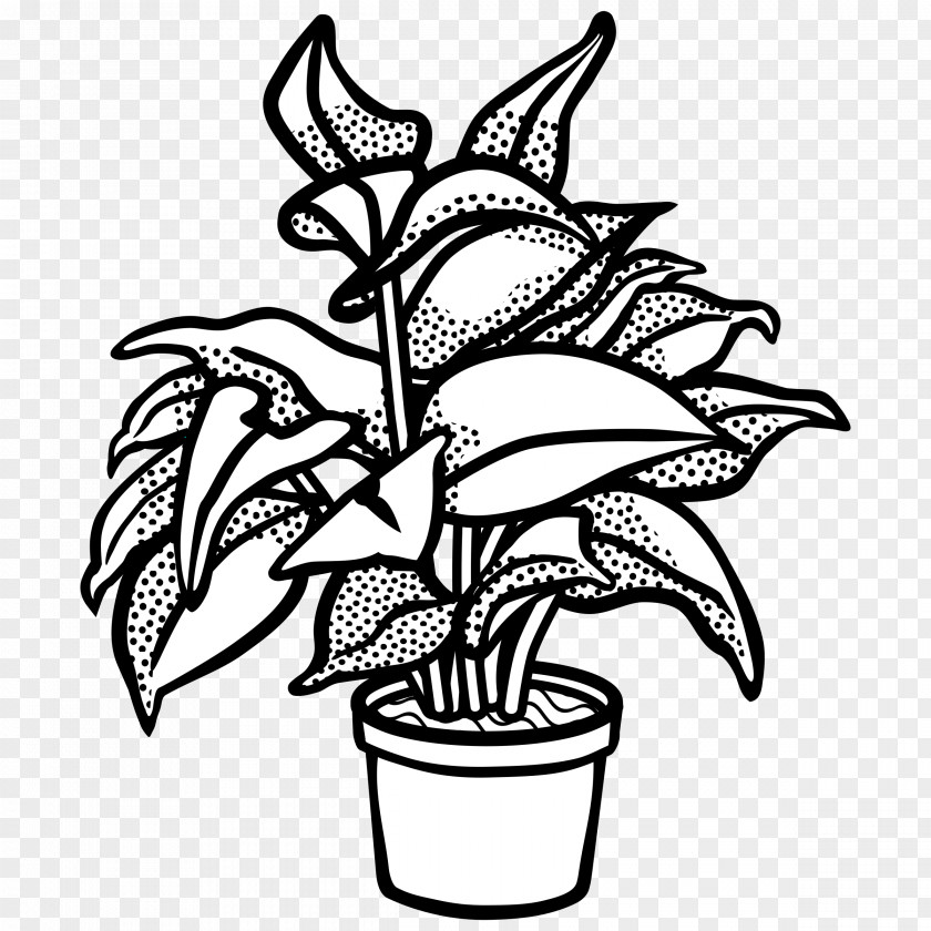 Potted Plant Drawing Line Art Clip PNG
