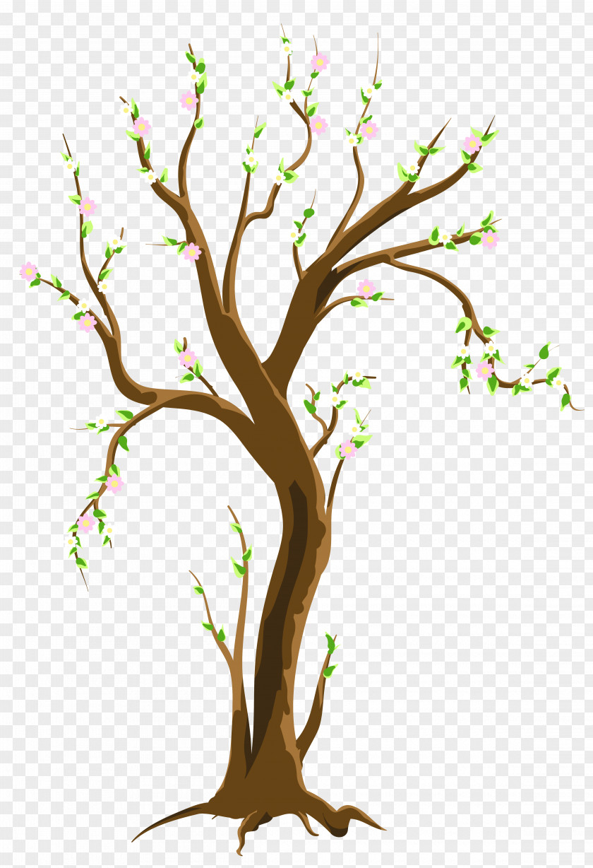 Spring Tree Clipart Picture Clip Art PNG