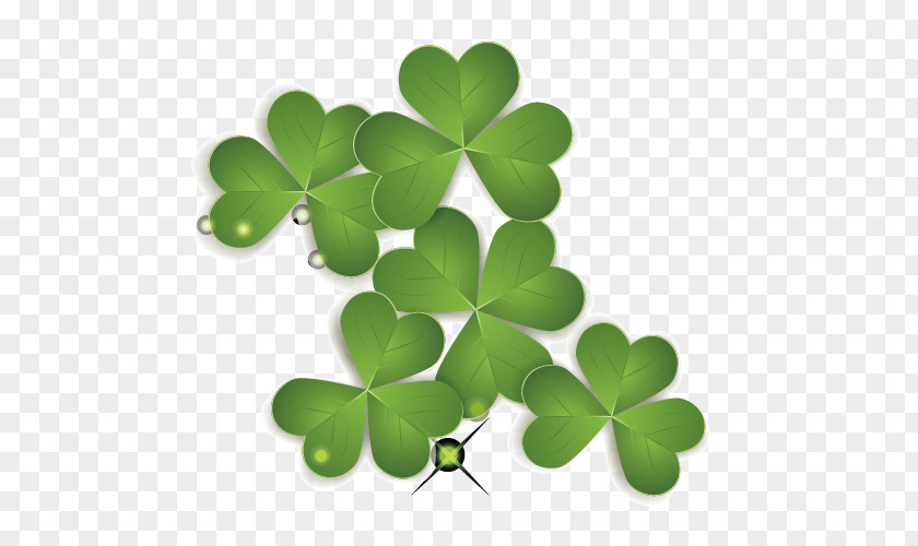 Clover,Leaves Saint Patricks Day Four-leaf Clover PNG