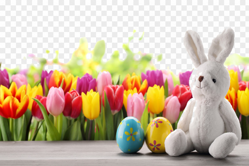 Cute Easter Egg HQ Pictures Bunny Tulip Wallpaper PNG