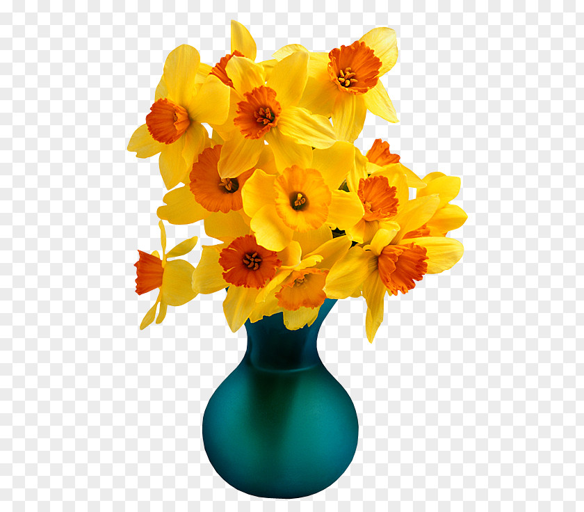 Flower Stock Photography Vase PNG