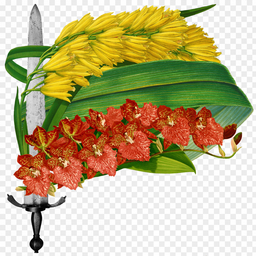 Flowers And Foliage FIG Sword Floral Design Cut Leaf PNG