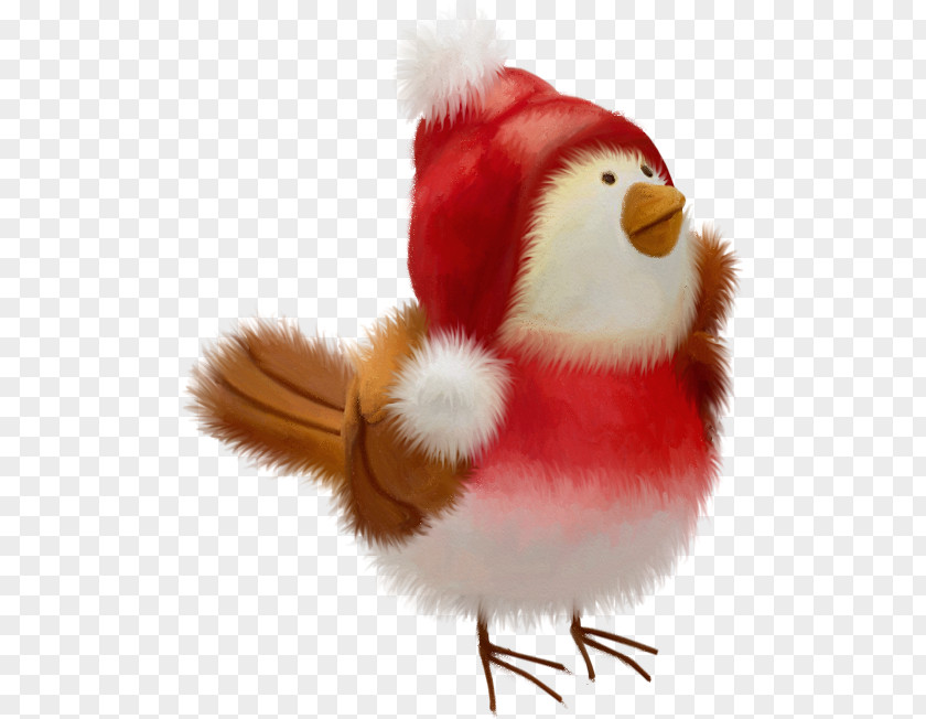 Guinea Pig Bird Christmas PNG