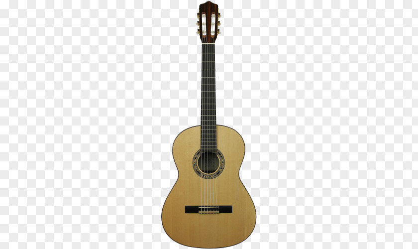 Guitar Classical Acoustic Musical Instruments String PNG