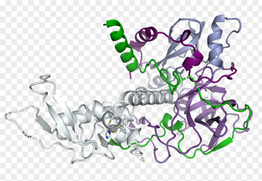 Jewellery Chromatin Organism Art Museum PNG