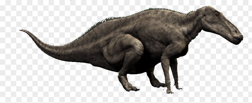 Maiasaura Tyrannosaurus Extinction Terrestrial Animal Wildlife PNG