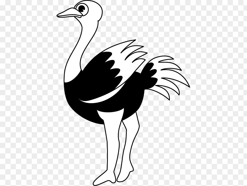 Silhouette Common Ostrich Black And White Line Art Clip PNG