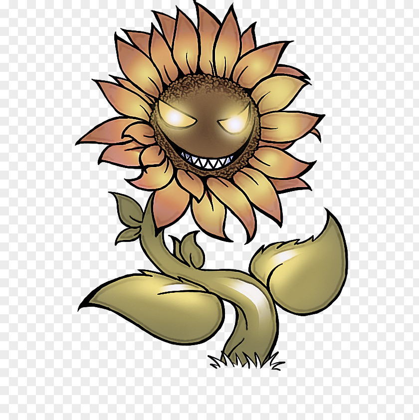 Sunflower Seed Plant PNG