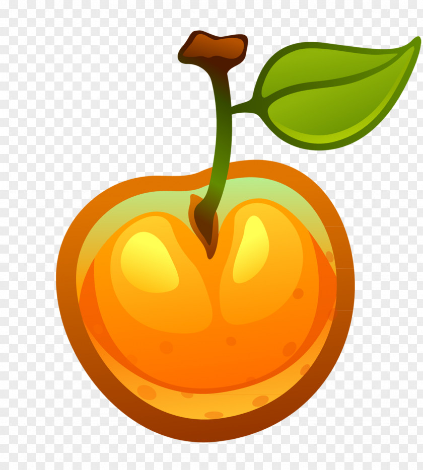 Tomato Fruit Orange Vegetable Food Clip Art PNG