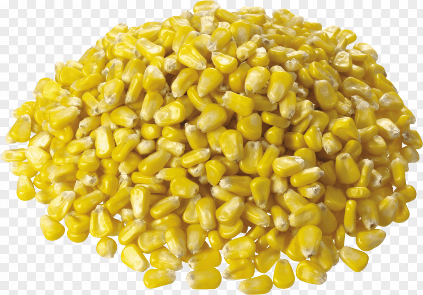 Corn Image Maize Sweet PNG