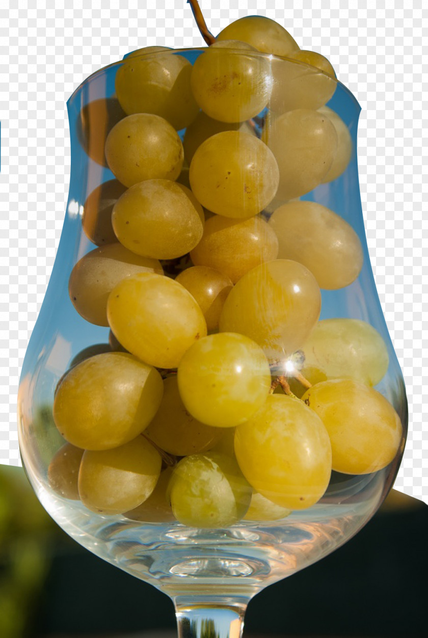 Cup Of Grapes White Wine Grape Harvest PNG
