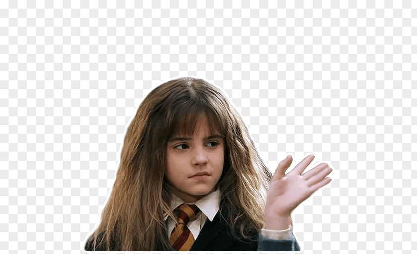Emma Watson Hermione Granger Harry Potter And The Philosopher's Stone Lord Voldemort PNG