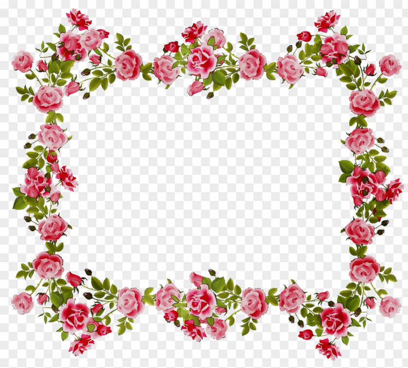 Floral Design Flower Borders Clip Art Rose PNG