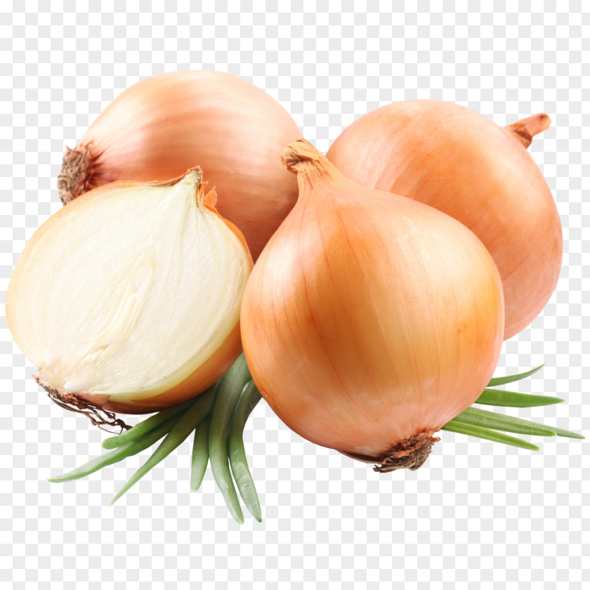 Potato Red Onion White French Soup Clip Art PNG